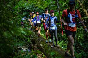 BIB: 9149
                            <button type="button" onclick="openModal(18922590)" class="btn btn-primary btn-sm float-right btn-popup" data-toggle="modal" data-target=".modal-high-quality">
                        <i class="fas fa-shopping-cart"></i> Add to Cart
                    </button>
                                            <button type="button" onclick="isThisMe(18922590, true)" class="btn btn-success btn-sm float-right btn-popup btn-isme hidden" data-toggle="tooltip" data-placement="bottom" title="นี่คือรูปของคุณใช่ไหม คลิกที่นี่เพื่อเอาเข้าอัลบั้ม">
                        <i class="fas fa-plus"></i> Add to album
                    </button>
                    <button type="button" onclick="isThisMe(18922590, false)" class="btn btn-warning btn-sm float-right btn-popup btn-isnotme hidden">
                        <i class="fas fa-ban"></i> Remove from album
                    </button>